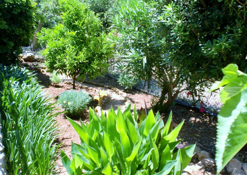 Hotel Quinta Dos Caracois à Lagos Extérieur photo