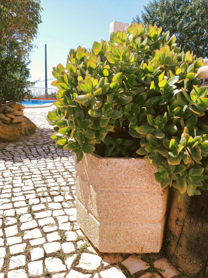 Hotel Quinta Dos Caracois à Lagos Extérieur photo